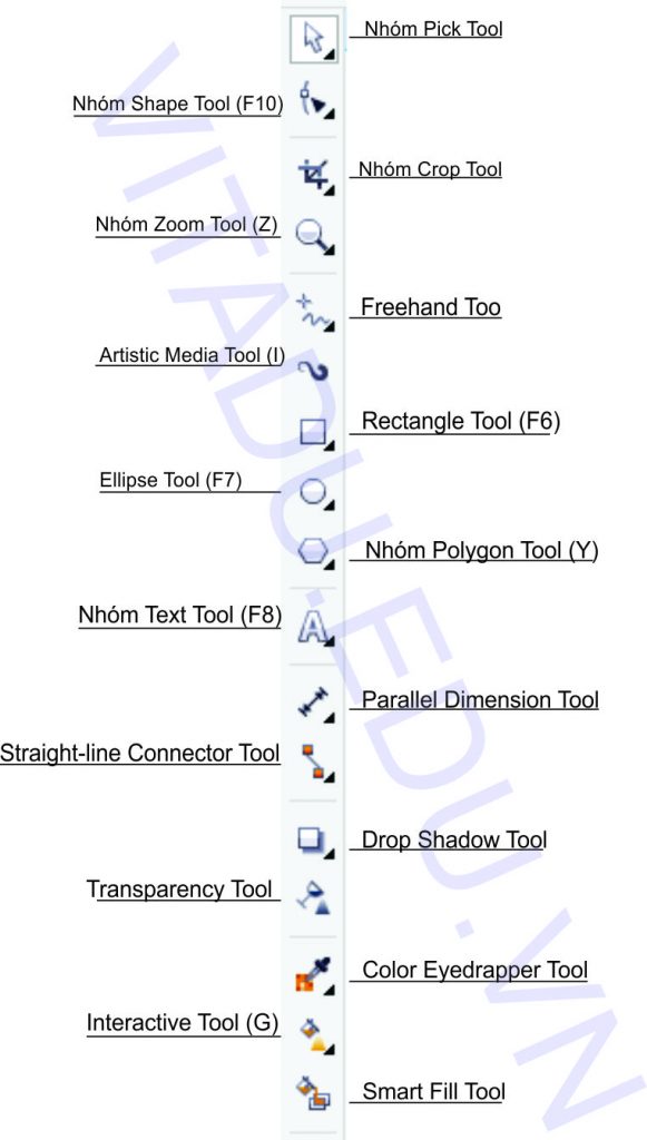 Hướng dẫn sử dụng công cụ Shapes Tool trong Corel Draw