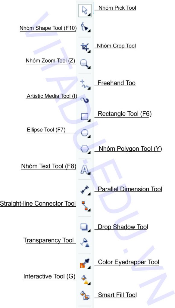 Cách Vẽ Và Thuộc Tính đường Tròn Trong Corel  Học Đồ Họa Online